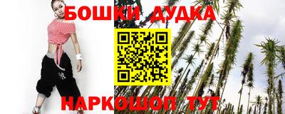 spice Дубна