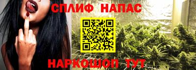 spice Дубна