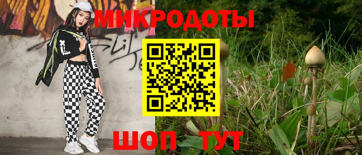 Псилоцибиновые грибы Cubensis  Вход с VPN  Армавир  Псилоцибиновые грибы GOLDEN TEACHER 